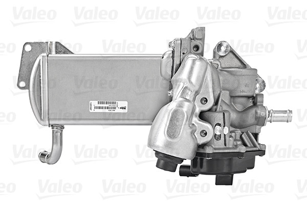 21_egr_module_700438_04.jpg