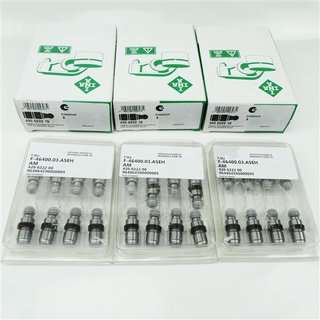 24x-hydrostoessel-4-ventiler-ina-420022210.jpg